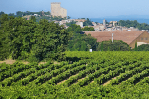 découvrez le village mythique de châteauneuf-du-pape, où l'histoire se mêle à des vins d'exception. explorez ses richesses culturelles et gastronomiques, tout en savourant des crus renommés dans un cadre idyllique.
